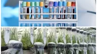 Bioteknologi medis dan pertanian