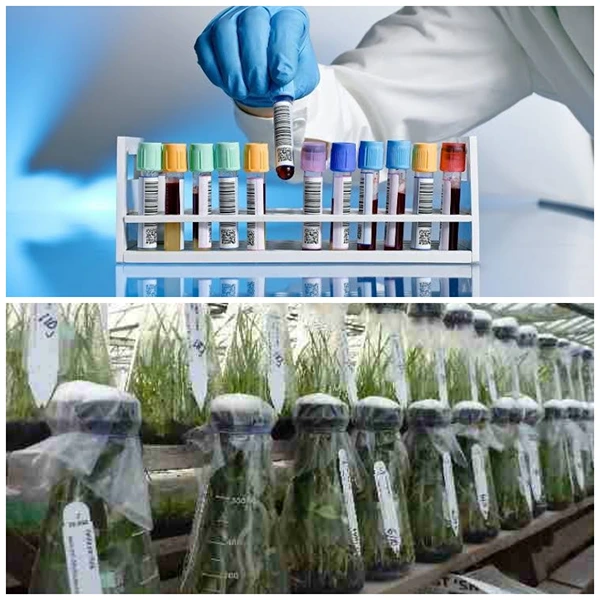 Bioteknologi medis dan pertanian