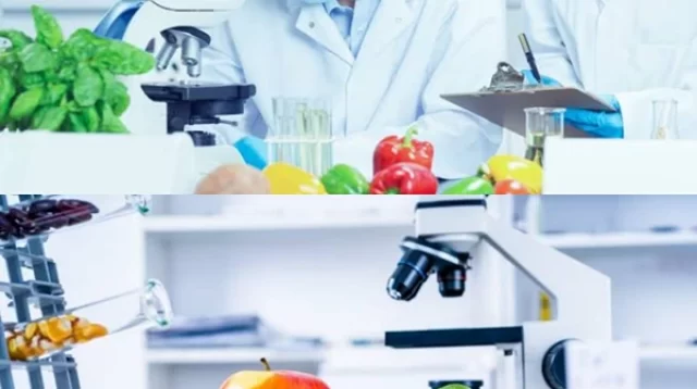 Teknologi pangan