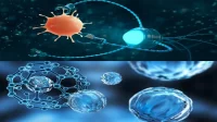 nanoteknologi