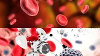 nanoteknologi dan Kesehatan